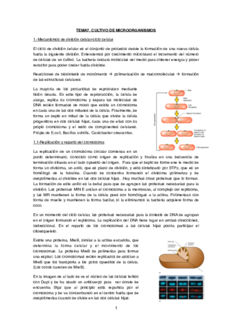 TEMA 7 copia.pdf