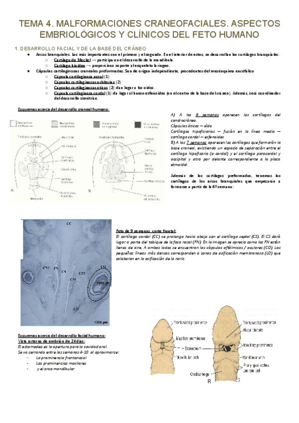ORL.4.PDF