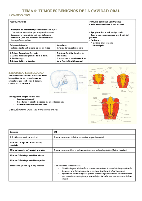 ORL.5.PDF
