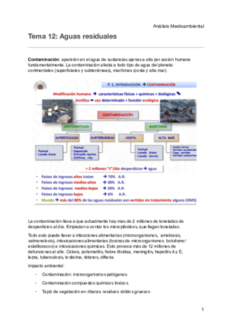 analisis tema 12.pdf