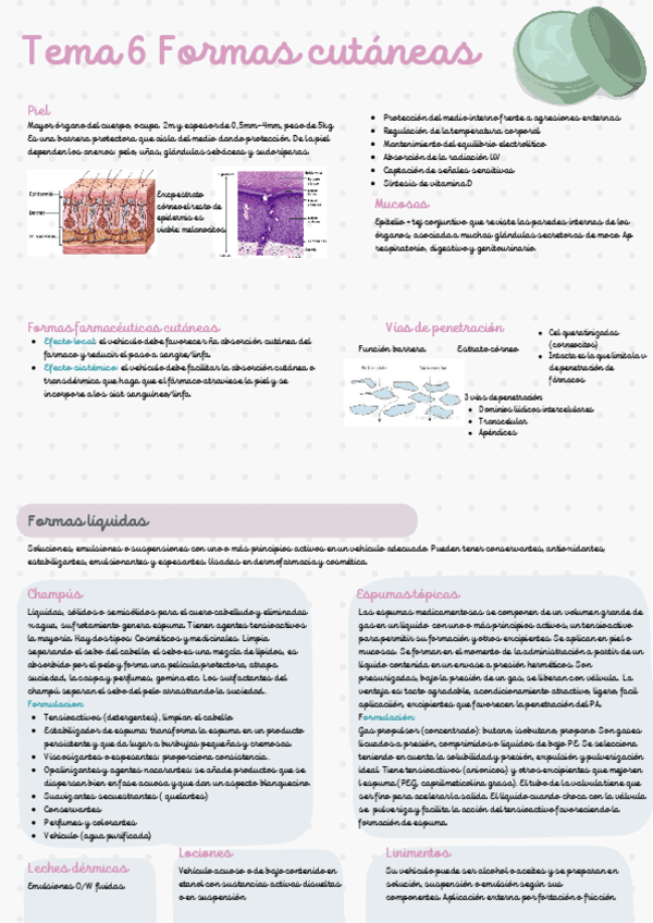 Tema-6.pdf