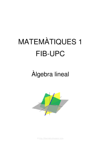 M1 - Algebra lineal.pdf