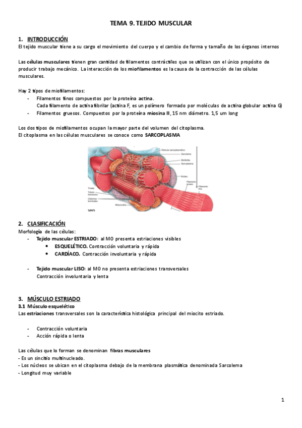 T9.-Histologia.pdf