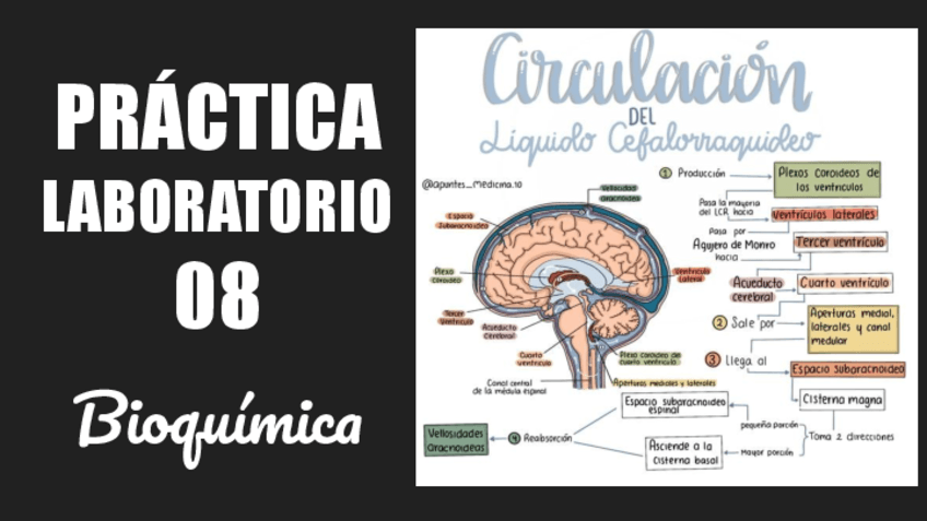 PRACTICA-LABORATORIO-08.pdf