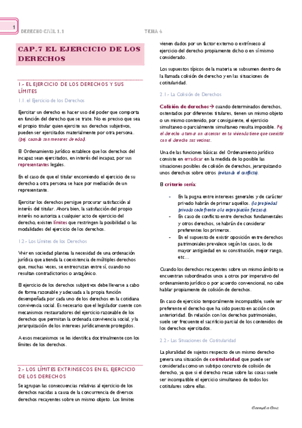 Cap.-7.-El-Ejercicio-de-los-Derechos.pdf