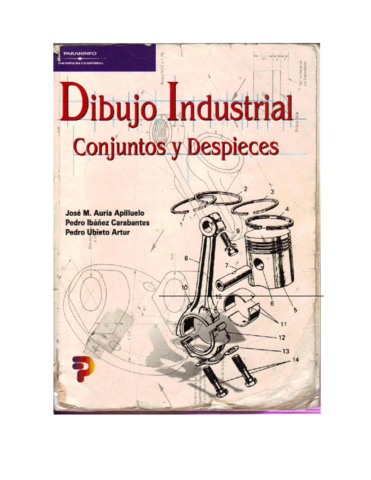 Mapipu Dibujo Industrial.pdf