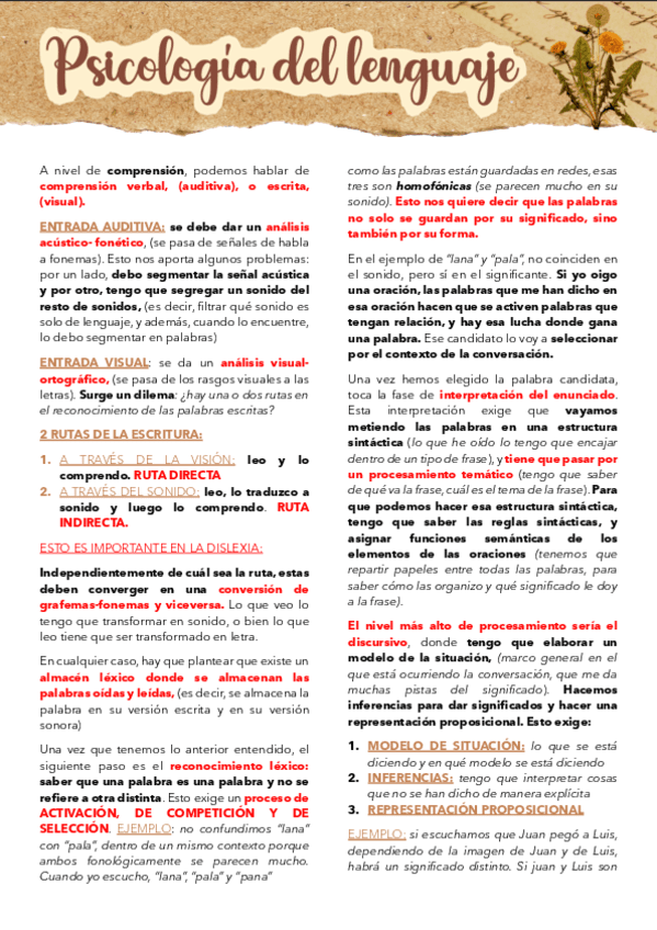 PSICO-LENGUAJE-T.4.pdf