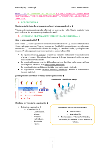 TEMA 1 PTO.pdf