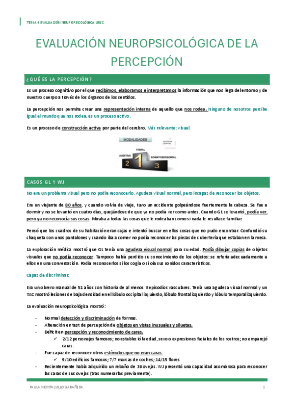 TEMA-4-NEURO.pdf