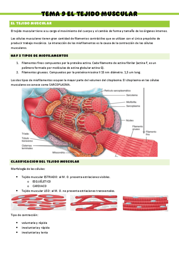 HISTOLOGIA-T9.pdf