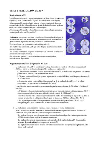 T2. Replicación del ADN.pdf