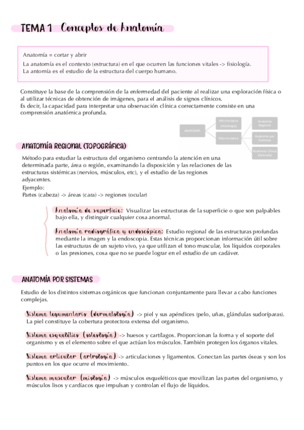 tema-1.-conceptos-de-anatomia.-apuntes.pdf