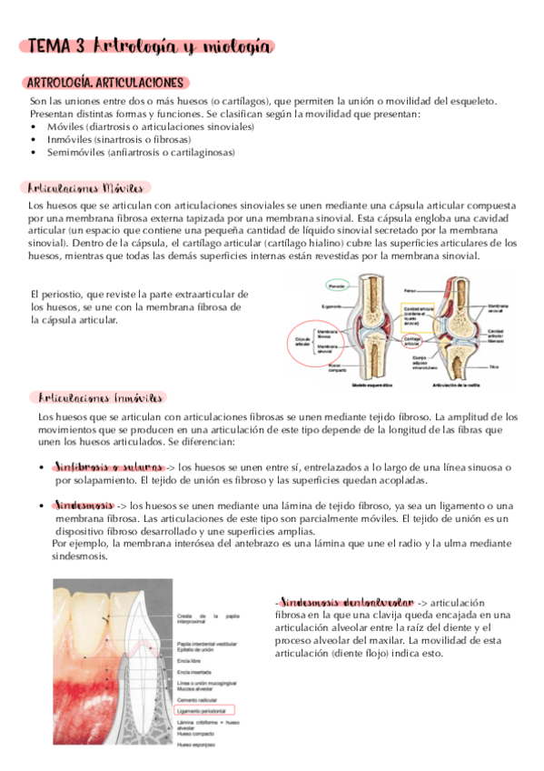 tema-3.-artrologia-y-miologia.-apuntes.pdf
