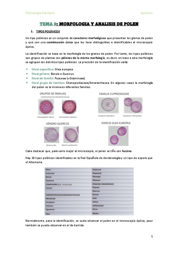 TEMA-9-MORFOLOGIA-Y-ANALISIS-DE-POLEN.pdf