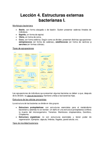 Microbiologia. Estructuras externas bacterianas I.pdf