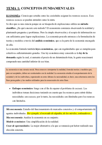 TEMA 1 eco.pdf