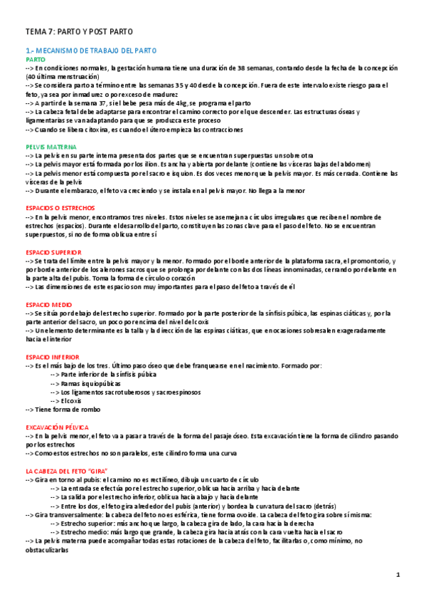 TEMA-7-PREVENTIVA.pdf