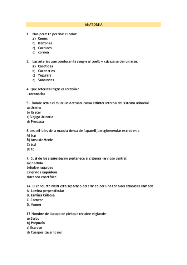 III.-ANATOMIA.pdf