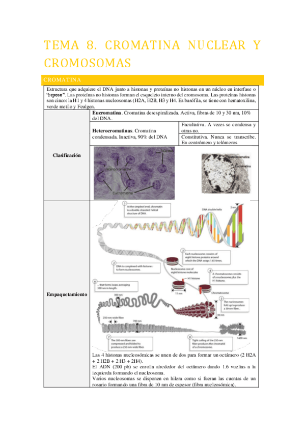 Tema-8.-Cromatina-y-cromosomas.pdf