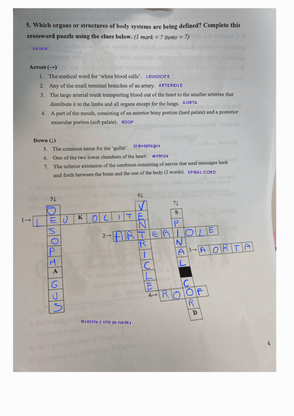 Ingles240328165852-copia.pdf