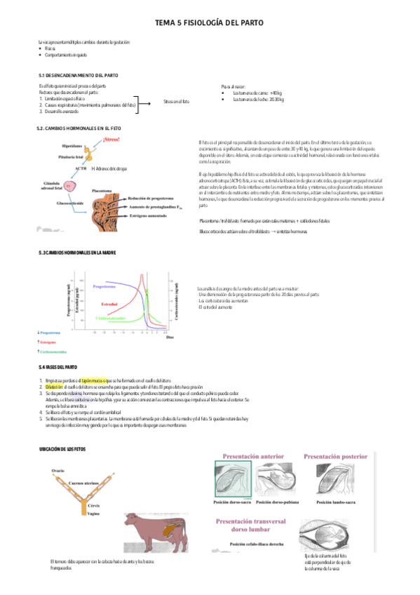 Tema-5-fisiologia-animal.pdf