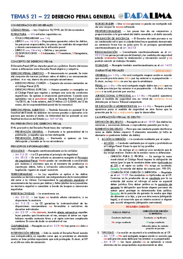 TEMA-21-22-PENAL.pdf