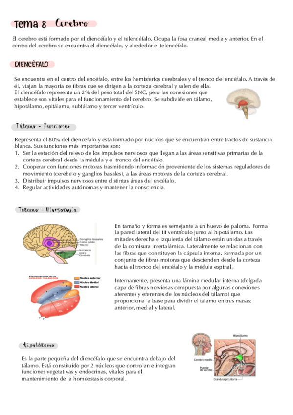 tema-8.-cerebro.-apuntes.pdf