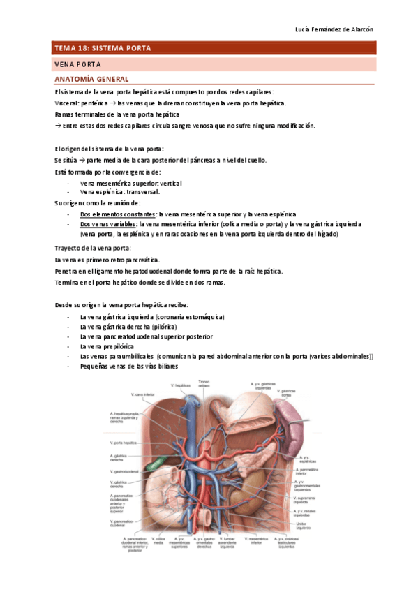tema-18-y-19-ANAT-DRURE.pdf