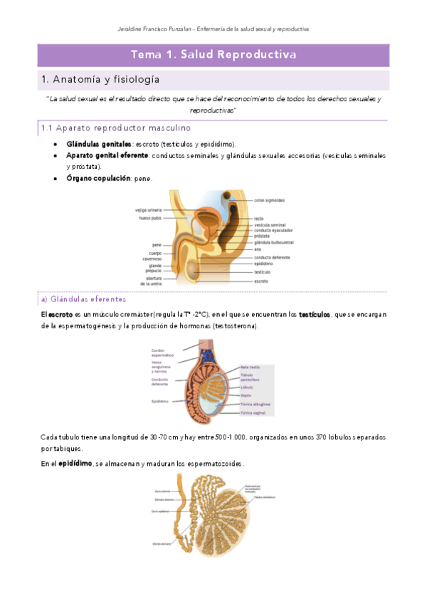 TEMA-1.-SALUD-REPRODUCTIVA.pdf