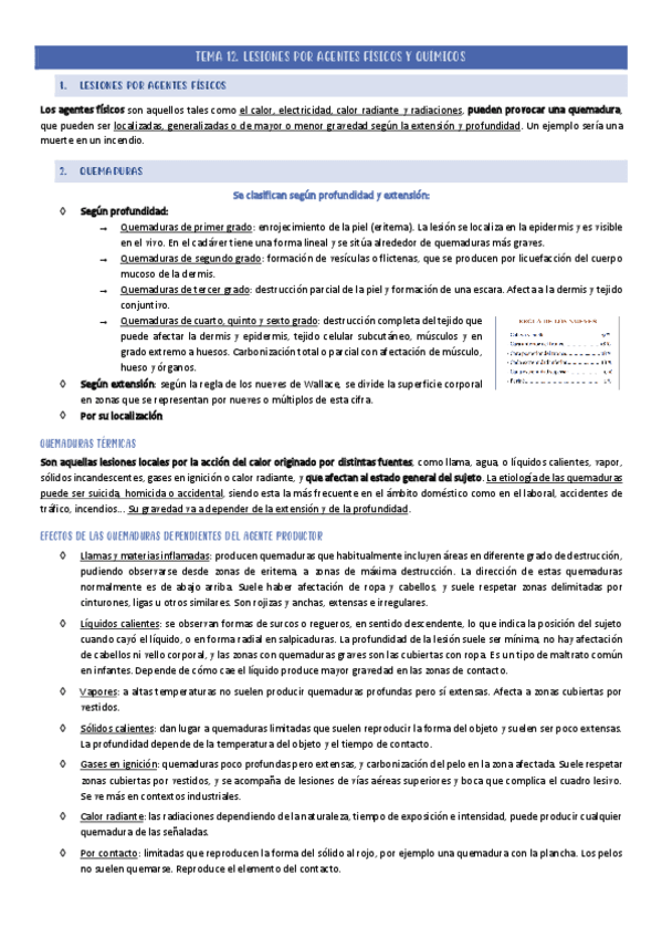 TEMA-12.pdf