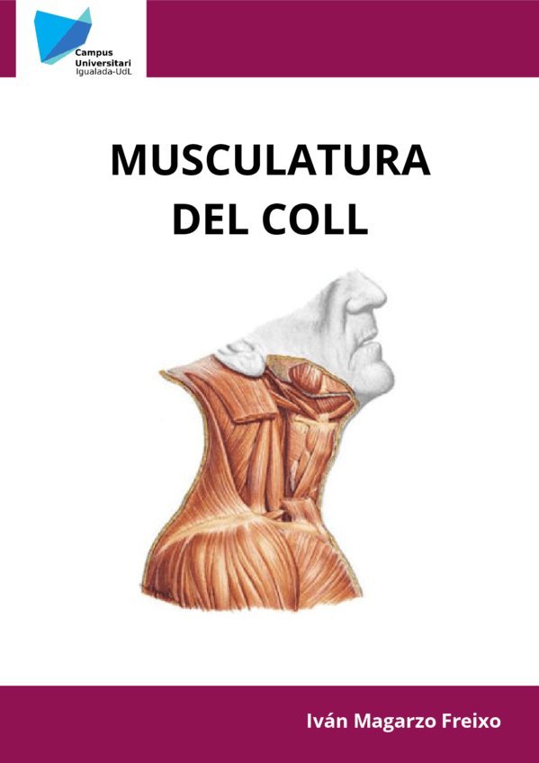 MUSCULATURA-COLL.pdf