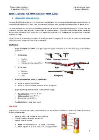 Tema 14 - Lesiones por arma de fuego y arma blanca .pdf