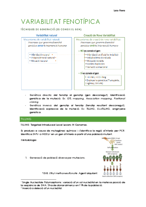 4.1.-Variabilitat-fenotipica-2.pdf