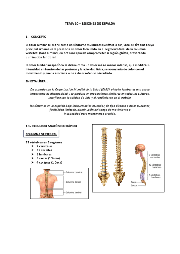 LESIONES-DE-ESPALDA.pdf