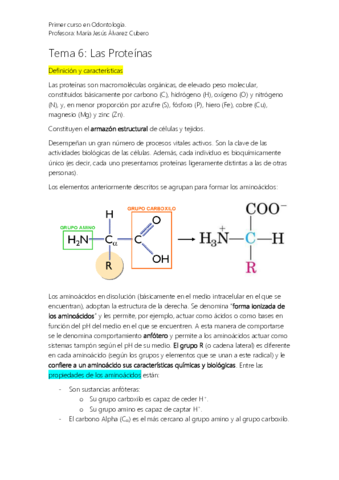 Bioquímica 4. Proteínas.pdf
