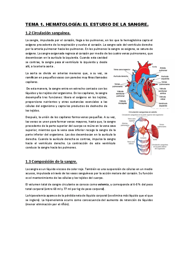 Hematologia.pdf