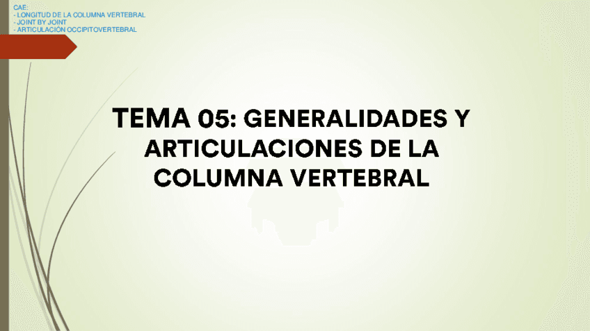 Tema-05-AFAL-Generalidades-y-articulaciones-de-la-columna.pdf