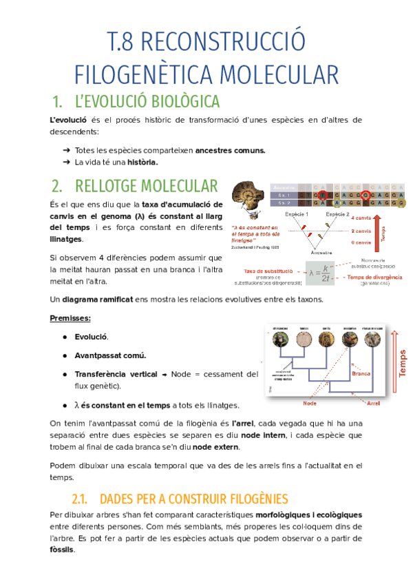 T.8-RECONSTRUCCIO-FILOGENETICA-MOLECULAR.pdf