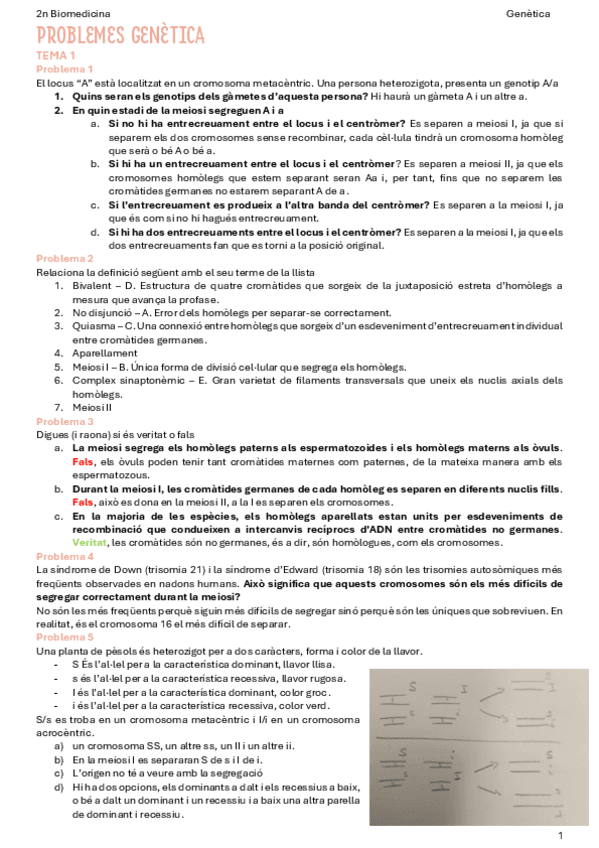 Problemes-genetica-T1-T4.pdf