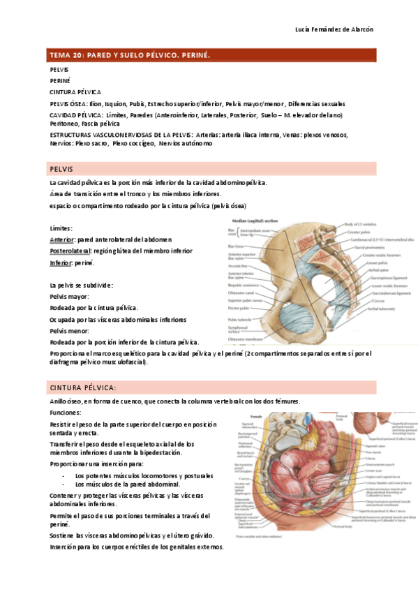 tema-20-ANAT-DRURE.pdf