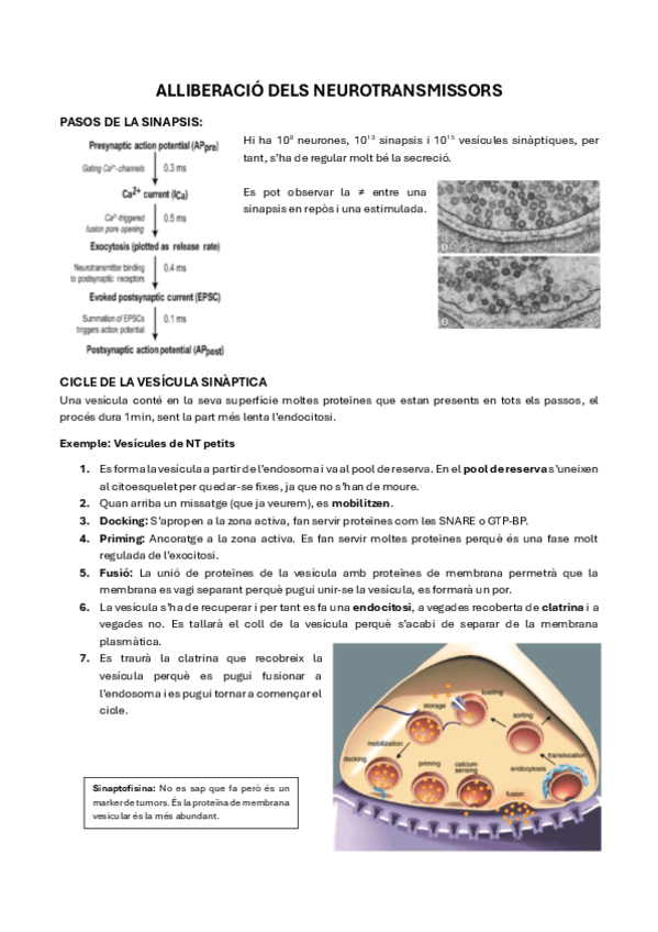 10.-Alliberacio-dels-NT.pdf