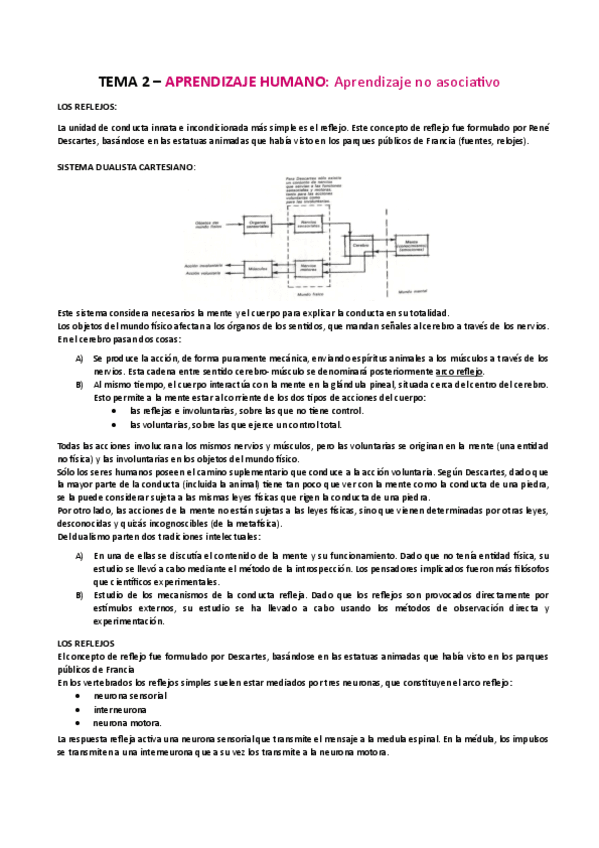 TEMA-2AH.pdf