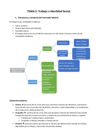 TEMA 2 sociologia.pdf