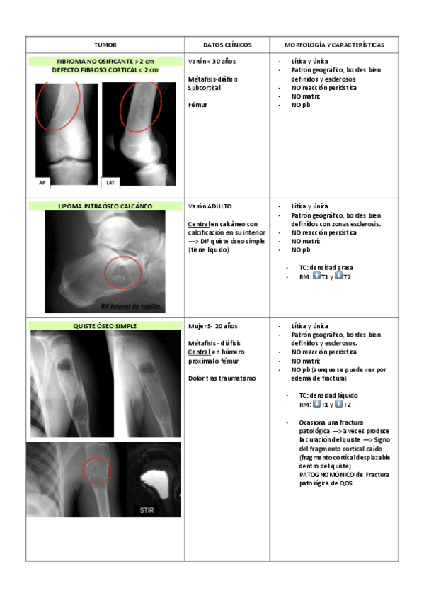 TUMORES-OSEOS.pdf