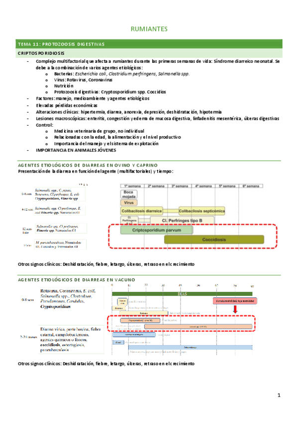 RUM-PARASITARIAS-2024-Dani.pdf