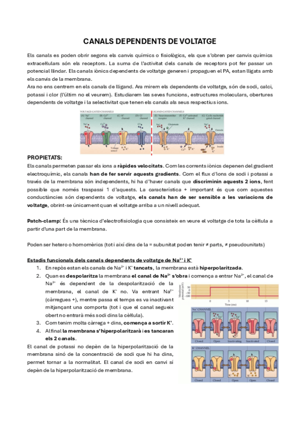14.-Canals-Dependents-de-Voltatge.pdf