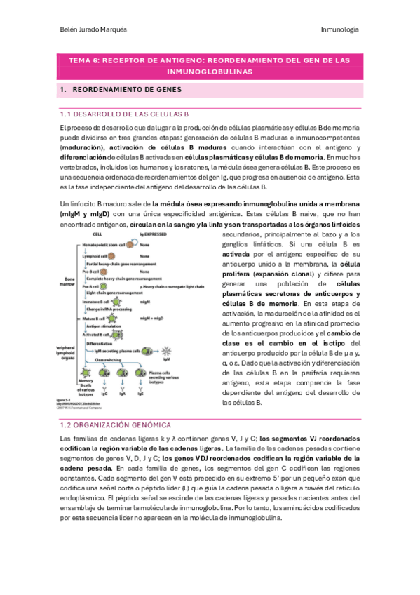 tema-6.pdf