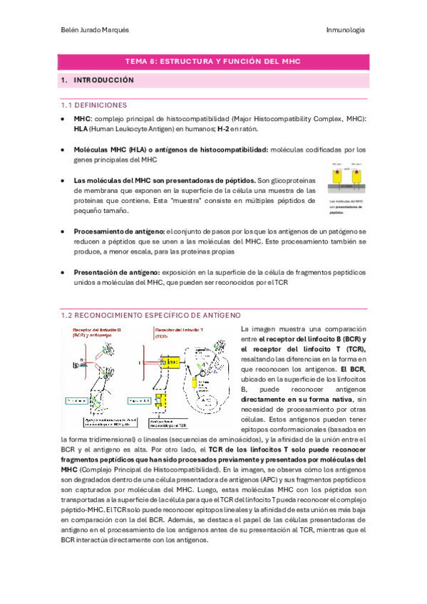 TEMA-8.pdf