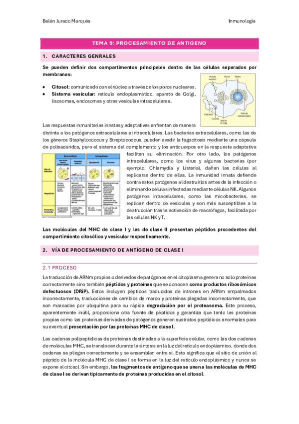 Tema-9.pdf