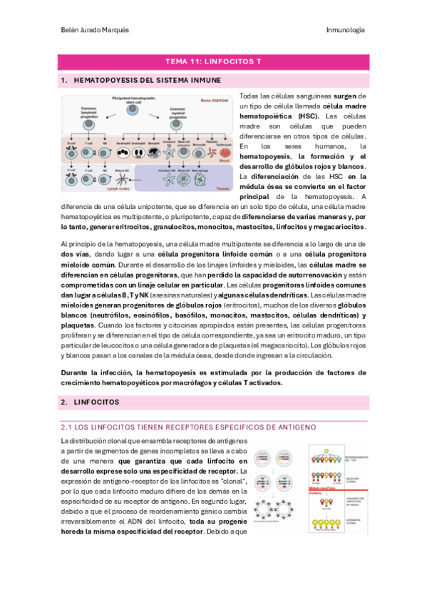 TEMA-11.pdf